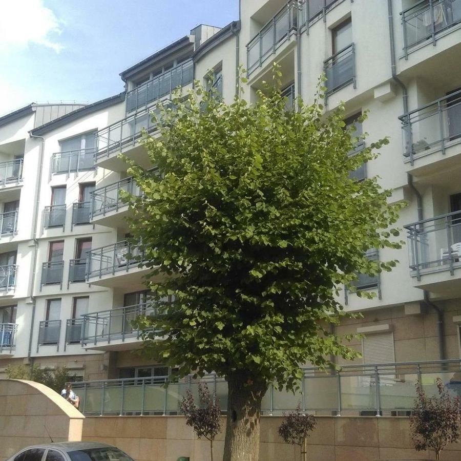 Apartament Flauta, Villa Marea เมียนซิดดรอแย ภายนอก รูปภาพ